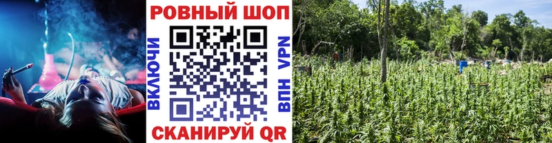 Где найти наркотики Никольское Каннабис  АМФ  A-PVP  Мефедрон  ГАШ  КОКАИН 