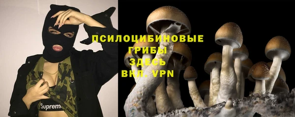 эйфоретик Абинск