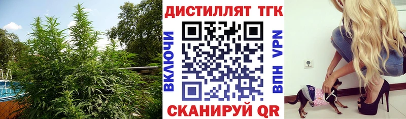 ТГК вейп  Никольское 
