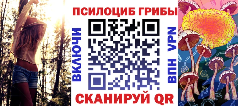 Галлюциногенные грибы Psilocybine cubensis  omg как зайти  Никольское  наркота 